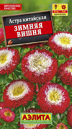 АЭ Астра Зимняя вишня помпонная 0,2 г