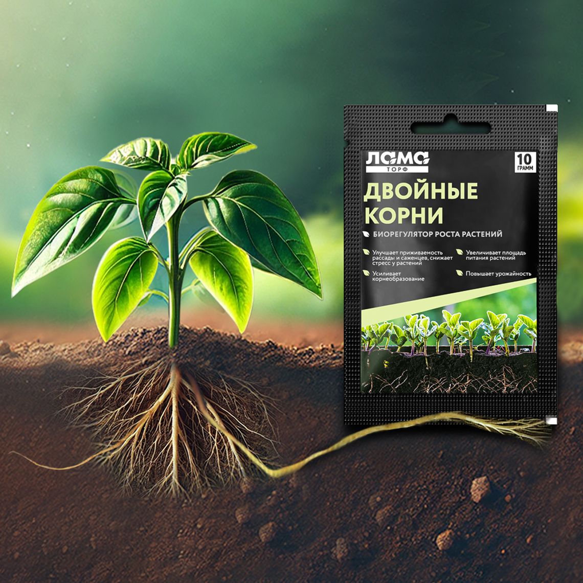 Двойные корни - двойной урожай! 