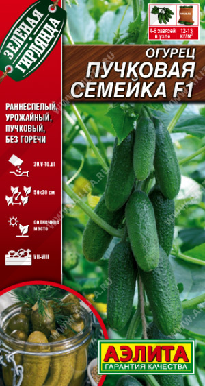 АЭ Огурец Пучковая семейка F1 10 шт