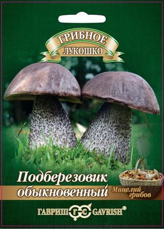 ГВ Подберезовик на зерновом субстрате, больш. пак. 15 мл