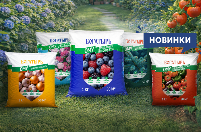 Уже в продаже. 