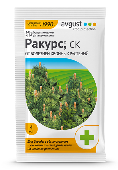 Ракурс 4 мл